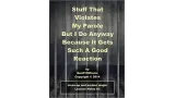 Stuff That Violates My Parole Notes by Geoff Williams