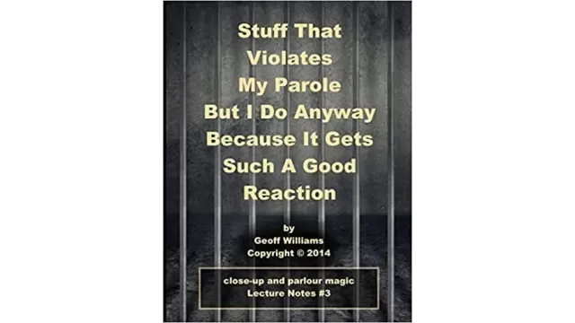 Stuff That Violates My Parole Notes by Geoff Williams