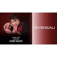 Svengali by Shin Lim