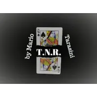 T.N.R. by Mario Tarasini