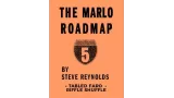 Tabled Faro Riffle Shuffle by Steve Reynolds