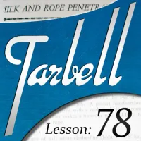 Tarbell 78 Silk & Rope Penetrations by Dan Harlan