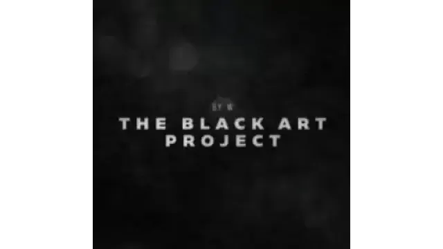 The Black Art Project by Will Tsai