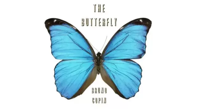 The Butterfly by Bruno Copin