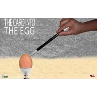 The Card Into The Egg by Alan