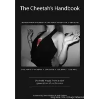 The Cheetah's Handbook (1-2) by Andi Gladwin