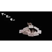 The Eye Cut by Bone Ho
