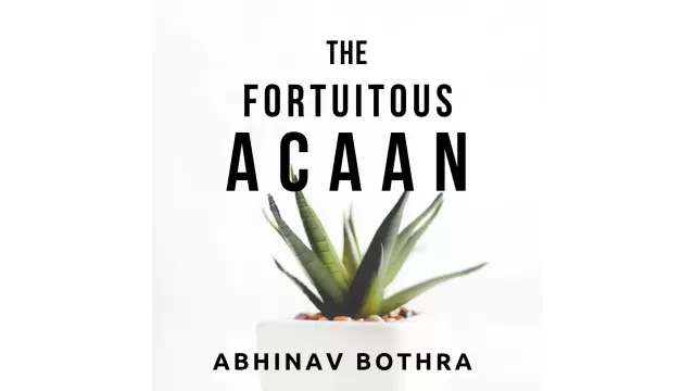 The Fortuitous Acaan by Abhinav Bothra