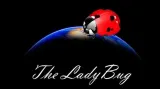 The Ladybug by Hugo Valenzuela