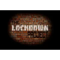 The Lockdown Project by Ian Hamilton