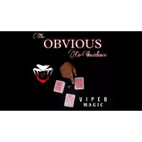 The Obvious Co-Incidence by Viper Magic