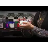 The Perfect Shuffle by Biz