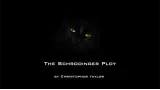 The Schrodinger Ploy by Christopher Taylor