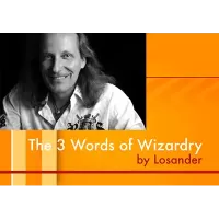 The Three Words Of Wizardry by Dirk Losander