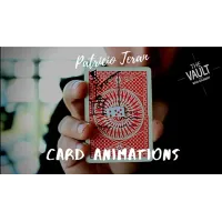 The Vault - Card Animations by Patricio Teran