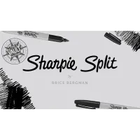 The Vault - Sharpie Split by Brice Bergman