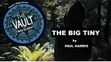 The Vault - The Big Tiny by Paul Harris