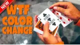 The Weirdest Color Change by Alex Pandrea