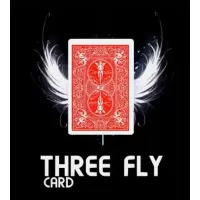 Three Fly Card by Mickael Chatelain