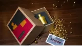 TOT Presents $TAMP by Joe Deng