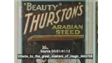 Tribute To The Great Masters Of Magic