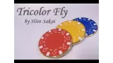 Tricolor Fly by Hiro Sakai