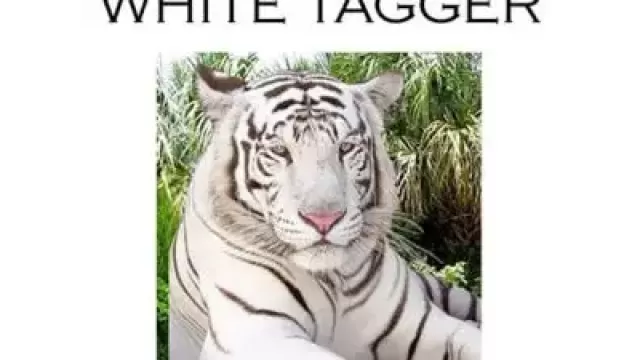 White Tagger by James Biss