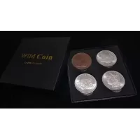 Wild Coins by Chinam Leung