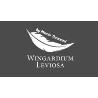 Wingardium Leviosa by Mario Tarasini