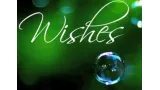 Wishes by Scott Alexander And Puck