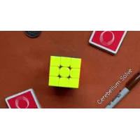 Cerebellum Solve by TN and JJ Team