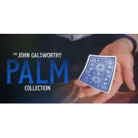 John Galsworthy – The Galsworthy Palm Collection