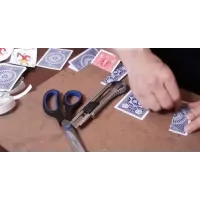 Magia Estudio - Fabrica tus propias cartas trucadas (Spanish)