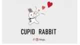 Cupid Rabbit by JT