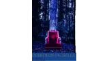Helmuth Grunewald - Diabolus de sella - The Devil's Chair