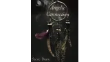 Steve Drury – Angelic Connection