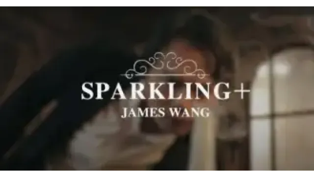 SPARKLING by James Wang & Hanson Chien - 2024