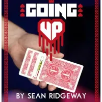 Going Up by Sean Ridgeway
