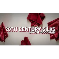 Wayne Goodman - 20Th Century Silks