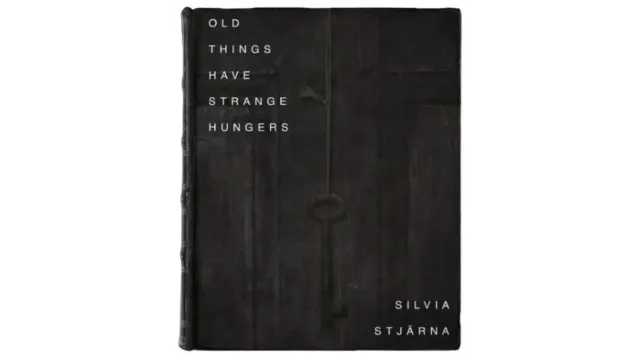 Old Things Have Strange Hungers by Silvia Stjarna - 2024