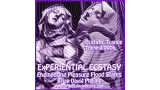 Brian David Phillips – eXperiential Ecstacy