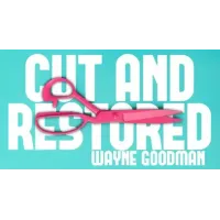 Wayne Goodman - Cut And Restored Rope