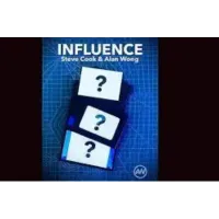 Steve Cook and Alan Wong - Influence