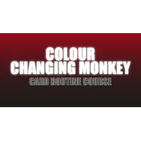 Craig Petty - Colour Changing Monkey 