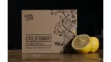 Green Lemon & Marc Woods – Evolutionairy