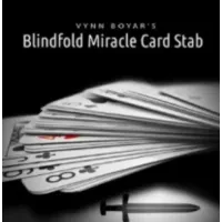 Vynn Boyar - Blindfold Miracle Card Stab