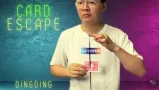 Dingding - The Vault - Card Escape