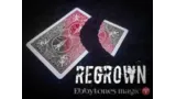 Ebbytones - Regrown