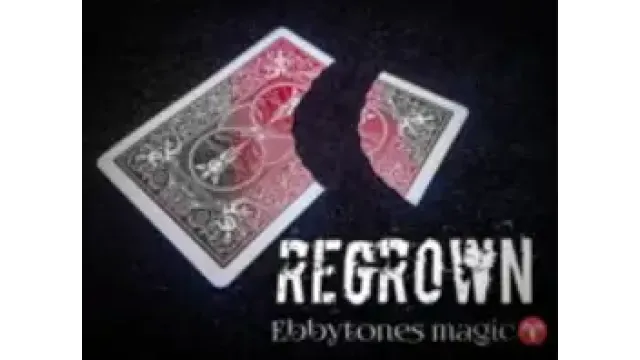 Ebbytones - Regrown - Card Tricks