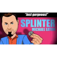 Splinter by Michael Eaton